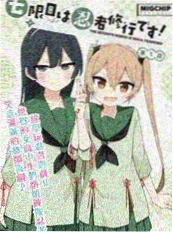 夏日回声动画封面